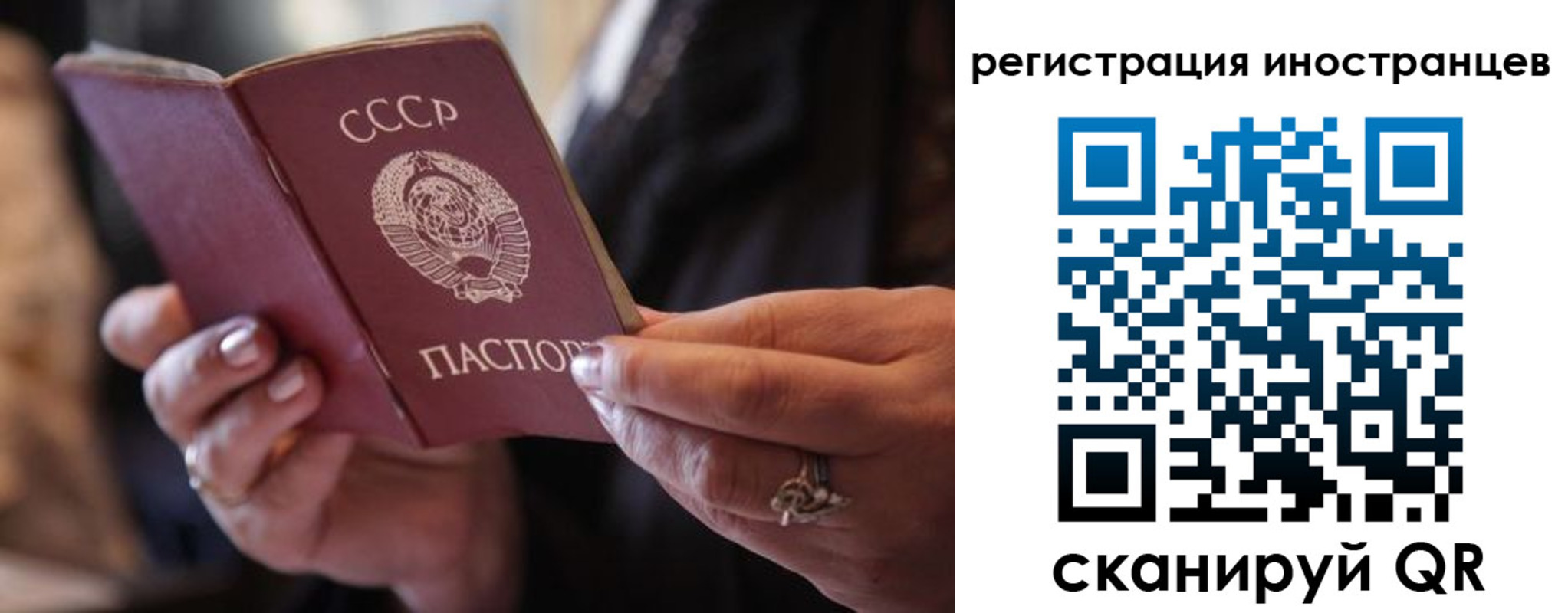 где прописаться в Галиче